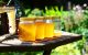 Beste Pflanzen für eine bessere Honigproduktion